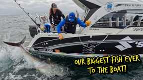 Our Biggest Fish Ever to the Boat! | The Fight of a Lifetime in Cornwall Uk Bluefin Tuna Fishing 🇬🇧🤯