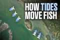 How Tides Move Fish (And How to Catch 