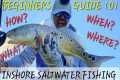 Beginners Guide To Inshore Saltwater