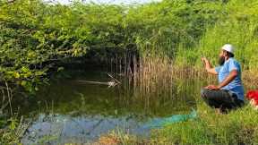 SMALL INSECTS TO BEST CATCHES!ROHUFISH AND TILAPIAFISHES WITH A SMALL HOOK FLOAT FISHING TECHNIQUE
