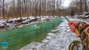 Fly Fishing For GIANT Fish in a Tiny Creek - Andrew's First Erie Steelhead