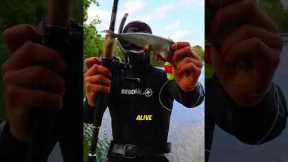 This Fishing Hook Lets You Cheat In The Ocean (IG kanama_bait)