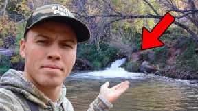 I Found A Honey Hole In The Middle Of The Forest...