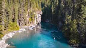 This Canadian Glacial Stream Is LOADED With Trout (Fly Fishing Canada)