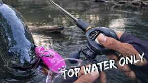 Slow Murray Cod Day... But surface Lures Saved it !