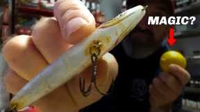 This Simple Trick Cleans Rusty Lures Fast!