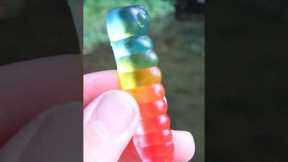 Fishing with gummy worms..