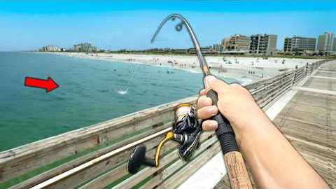 Florida PIER Fishing! Eating Whatever I Catch.. (Catch and Cook)