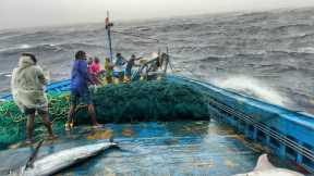 OMG! Boat in Storm 🌊 | Day 10 Deep Sea Fishing Adventure & Big Fish Catch