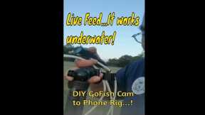DIY GoFish Cam to Phone Live Feed Rig #shorts