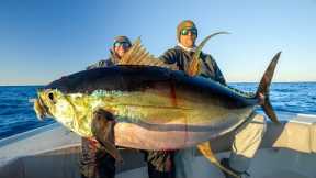 GIANT Yellowfin Tuna! Catch Clean Cook (Venice Tuna Fishing)