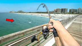 Florida PIER Fishing! Eating Whatever I Catch.. (Catch and Cook)