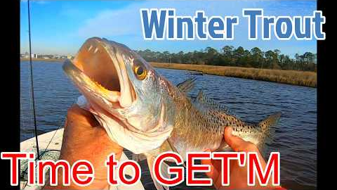 DIY Soft Plastic Swimbaits vs Cold-Water Trout (Surprising Results) #handmadelure #fishinglure