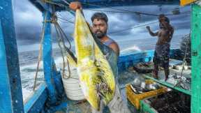 Day-01 | First Day Living in the Deep Sea | Cooking, Sleeping & Tuna Fishing Adventure