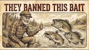 The Industry Hid This Bait For Decades — Costs Pennies And Catches Triple
