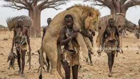 Hadzabe Tribe Hunting: Extreme Survival Kudu Hunt And Dangerous Lion Encounters in Africa
