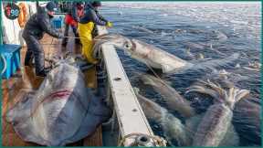 Japan’s Insane Fishing Scale – 8,300 Tons of Seafood Pulled from the Ocean Every Day
