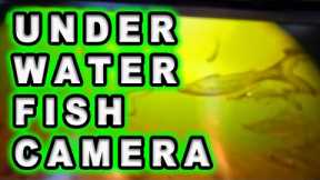 Cheap Amazon Underwater Camera Put to the Ultimate Fish Test