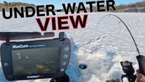 Ice Fishing New Waters With Marcum Persuit HD Underwater Camera!