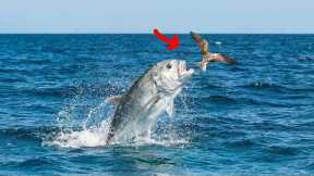 I Hunted a Bird Eating Fish for 72 Hours!