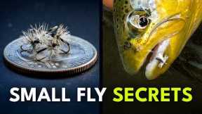 Fly Fishing With Small Dry Flies (Part 1) | Ep. 170