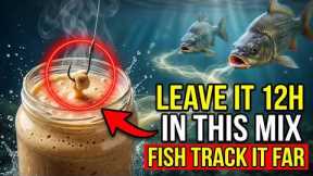 Leave Bait in This Homemade Mix for 12 Hours — The $0.80 Compound Fish Track from 20 Meters