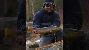 The Most Important Bug in Fly Fishing