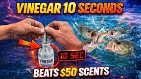 Dip Your Bait in Vinegar for 10 Seconds — Outperforms $50 Scents Instantly