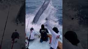 Giant Swordfish Caught by Fishermen! 🦭🦈🐙🪸 #giantcreature #deepseafishing