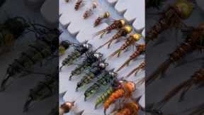 Top Flies for Fly Fishing & the Insects Behind Them