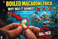 Put Boiled Macaroni on Your Hook —