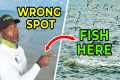 3 Ways to Find Fish In Any Water(Most 