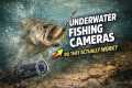 Underwater Fishing Cameras: Do They