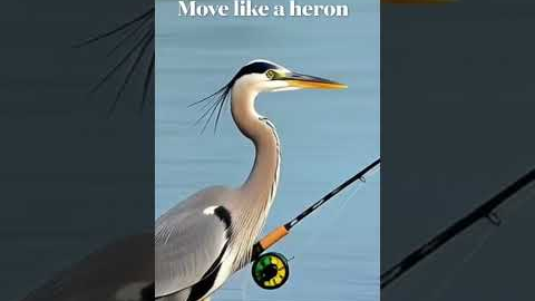 Quick Fly Fishing Tip Number 1 #flyfishing #fishingtips #flyfishingtips #funny