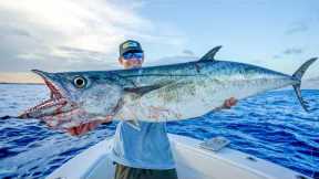 DEEP Sea Kingfish! Catch Clean Cook (Kingfish)