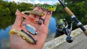 Fishing With Only Lures I've Found (Again)