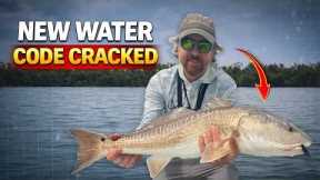 How To Catch An Inshore Slam In New Waters (Cape Coral Edition)