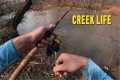Creek Fishing: A Peaceful Morning in