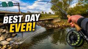 Best Brown Trout Fishing I've Ever Experienced Right UNDER the Highway