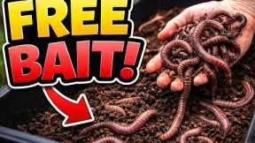 Unlimited FREE Fishing Bait?! DIY Worm Farm That Actually Works. The MoK Outdoors Way!