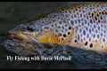 Fly Fishing with Davie McPhail