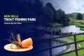 Fly Fishing UK - New Mills Trout